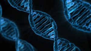 Auf dem Bild kann man eine blau beleuchtete DNA-Doppelhelix vor einem schwarzen Hintergrund erkennen.